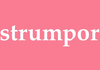 Synonym strumpor
