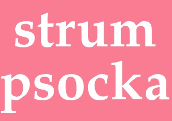 Synonym strumpsocka