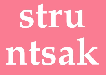 Synonym struntsak