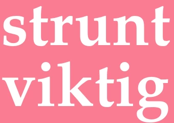 Synonym struntviktig