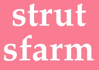 Synonym strutsfarm