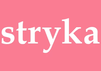 Synonym stryka