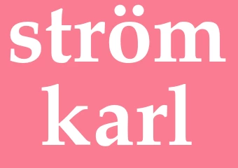 Synonym strömkarl