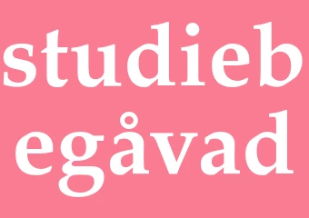 Synonym studiebegåvad