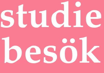 Synonym studiebesök