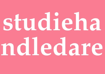 Synonym studiehandledare