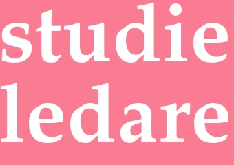 Synonym studieledare