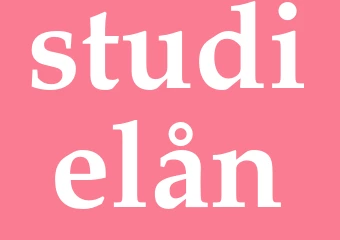 Synonym studielån