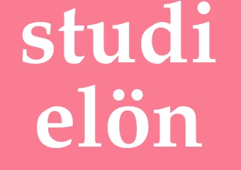 Synonym studielön