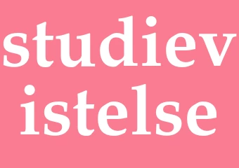 Synonym studievistelse