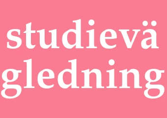 Synonym studievägledning