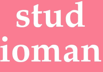 Synonym studioman