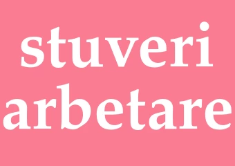 Synonym stuveriarbetare