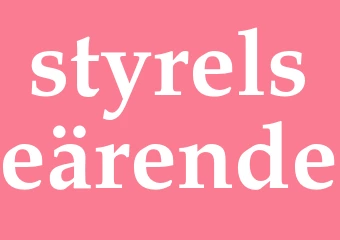 Synonym styrelseärende