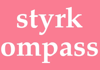 Synonym styrkompass