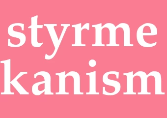 Synonym styrmekanism