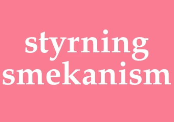 Synonym styrningsmekanism