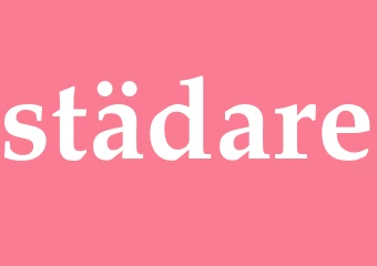 Synonym städare