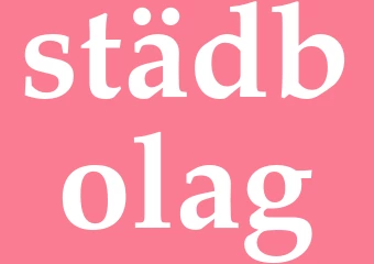 Synonym städbolag