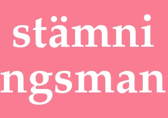 Synonym stämningsman
