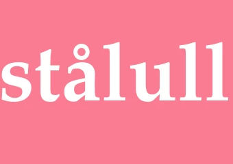 Synonym stålull