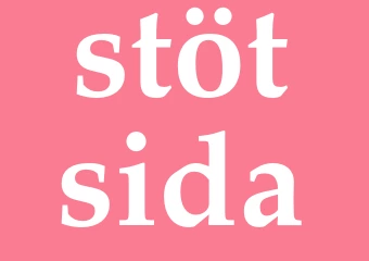 Synonym stötsida