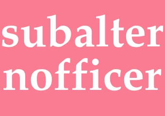 Synonym subalternofficer