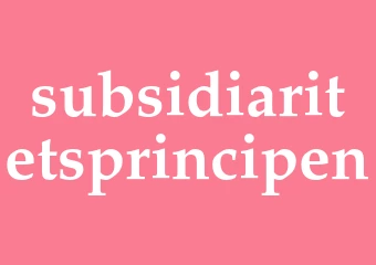 Synonym subsidiaritetsprincipen