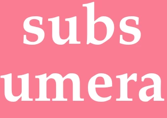 Synonym subsumera
