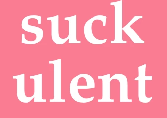 Synonym suckulent