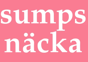 Synonym sumpsnäcka