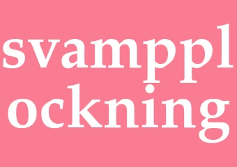 Synonym svampplockning