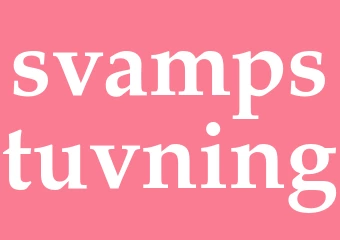 Synonym svampstuvning