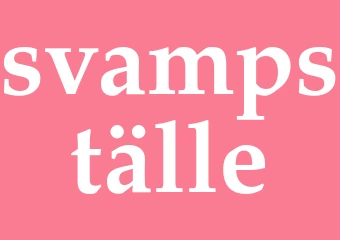 Synonym svampställe