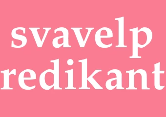 Synonym svavelpredikant