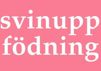 Synonym svinuppfödning