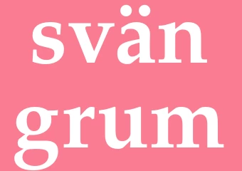 Synonym svängrum