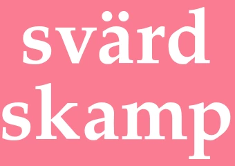 Synonym svärdskamp