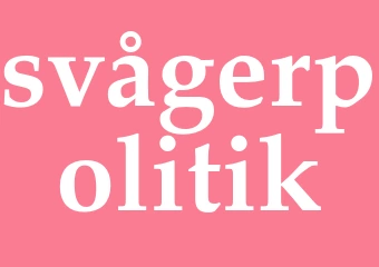 Synonym svågerpolitik