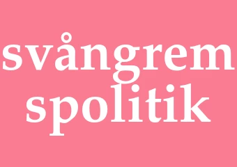 Synonym svångremspolitik