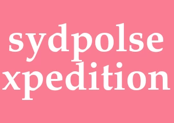 Synonym sydpolsexpedition
