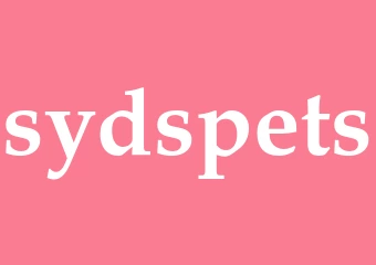 Synonym sydspets