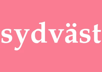 Synonym sydväst