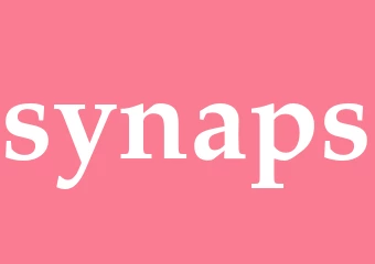 Synonym synaps