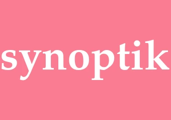 Synonym synoptik