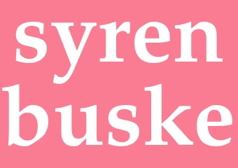 Synonym syrenbuske