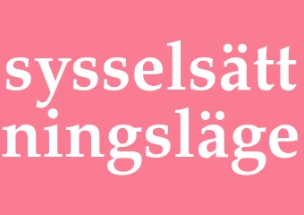 Synonym sysselsättningsläge