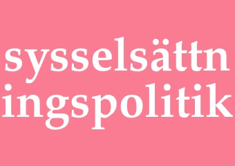 Synonym sysselsättningspolitik