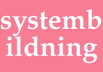 Synonym systembildning