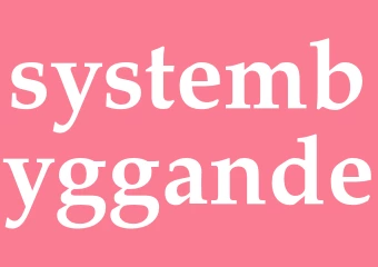 Synonym systembyggande